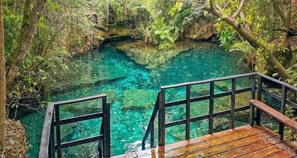 Luxurious Flat Suite w/ King Bed, Rain Shower, & Round Day Bed ALL-INCLUSIVE