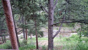 Property grounds - Hot tub suite with full kitchen, patio with river view (Estes Park)