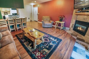 TV, fireplace, video library