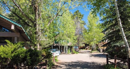 Studio with Personal Hot Tub and Fireplace Dogs Welcome