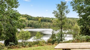 A picnic table in a grassy area with a lake and forest in the background.