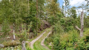 A dirt path winding through a forested area with various plants and trees.