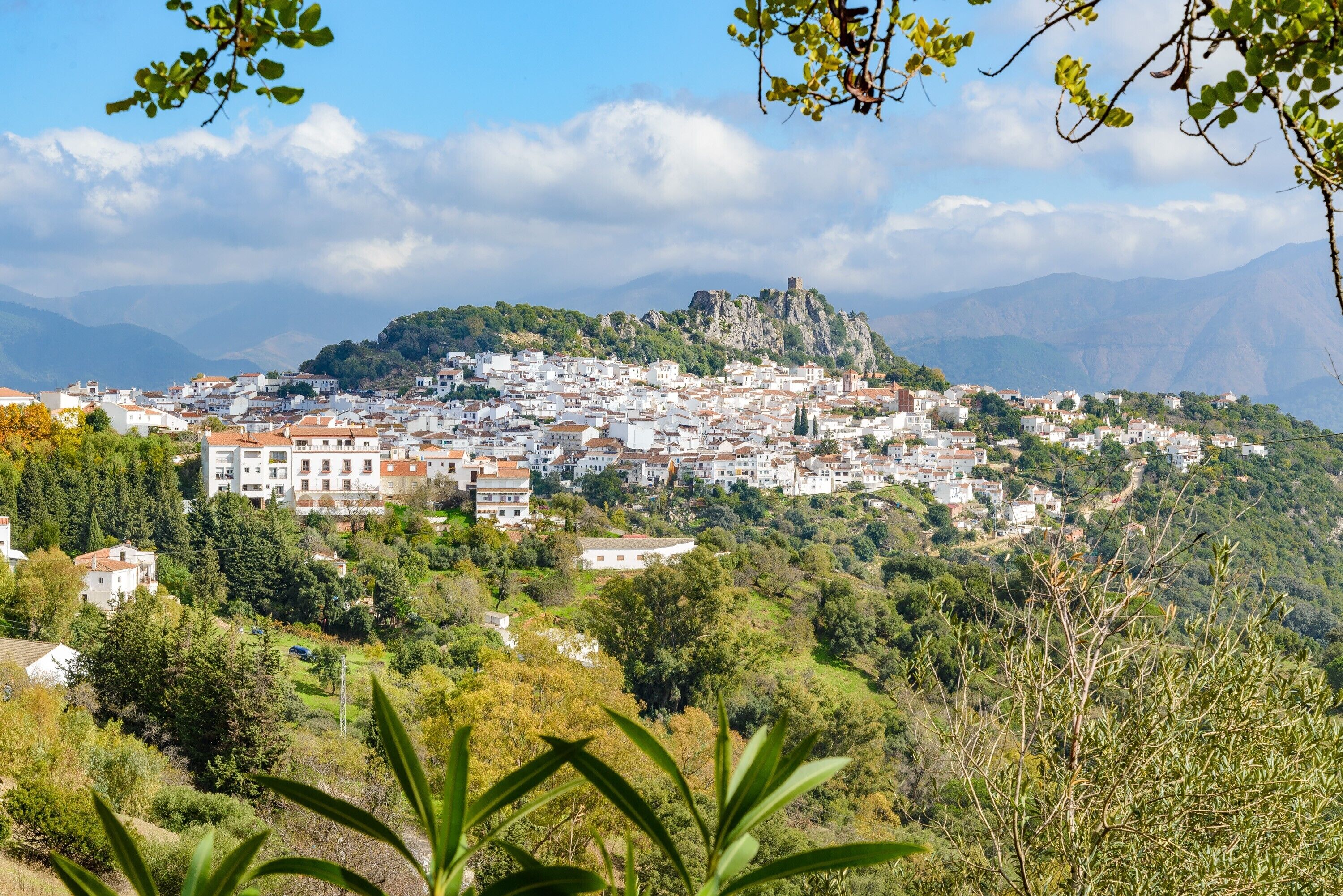 Une ville construite sur une colline, avec des bâtiments, un imposant édifice qui ressemble à un château, et une végétation luxuriante tout autour.