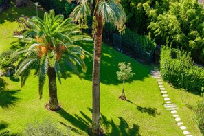 Um jardim bem cuidado, com palmeiras, um caminho de pedra e uma pequena árvore.