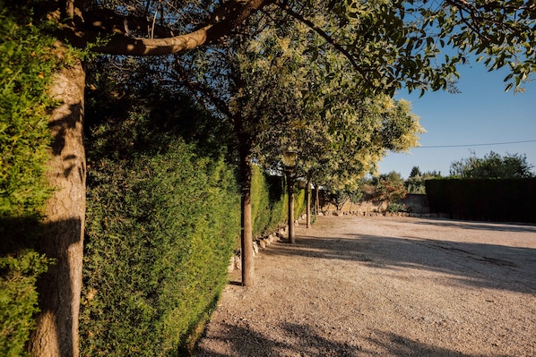 A gravel path flanked by neatly trimmed hedges and trees, leading to a building with a visible entrance.