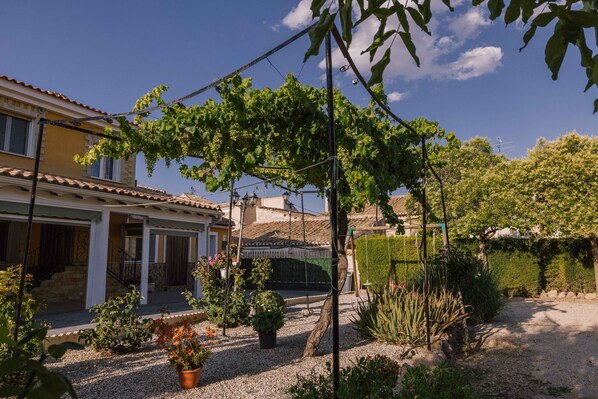 A house with a garden, a pergola with grapevines, and a gravel driveway.