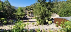 A garden with various plants and trees, a stone pathway, and a wooden structure.