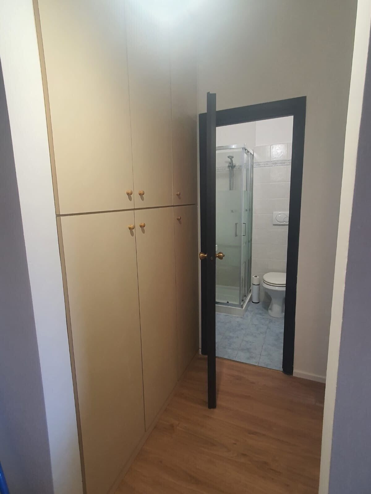 A bathroom with a shower, toilet, and a wooden wardrobe.