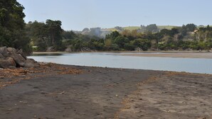 Une plage avec une étendue de sable au premier plan et une étendue d’eau calme.