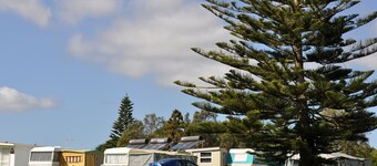 Urenui Beach Camp