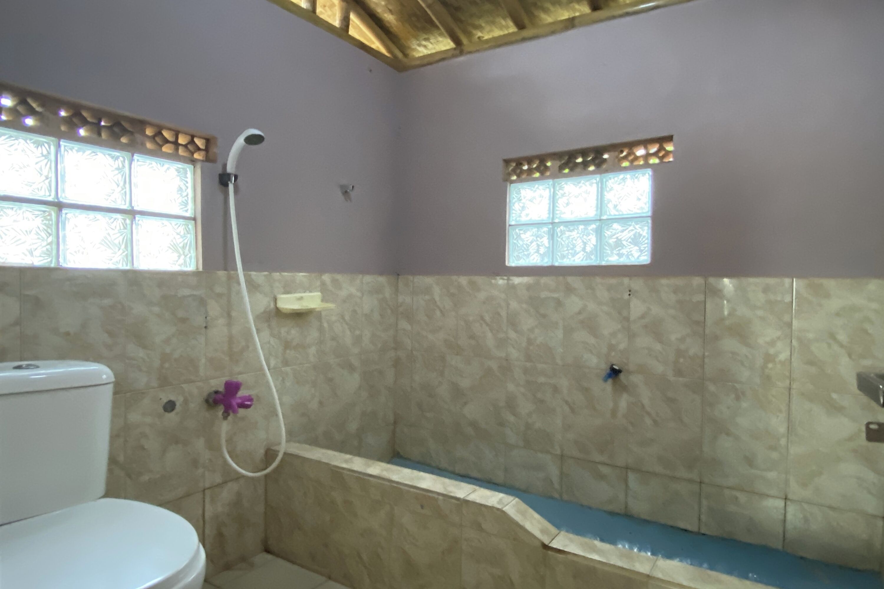 A bathroom with a toilet, shower, and two windows.
