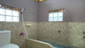 A bathroom with a toilet, shower, and two windows.