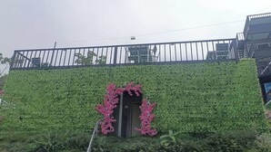 Een gebouw met een buitenkant bedekt met groene klimop en een klein raam met roze bloemen.