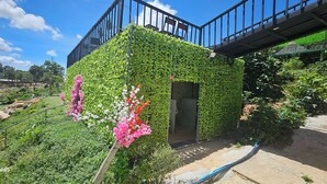 Een gebouw met een buitenkant begroeid met groene klimop, een houten terras en een metalen hekwerk.