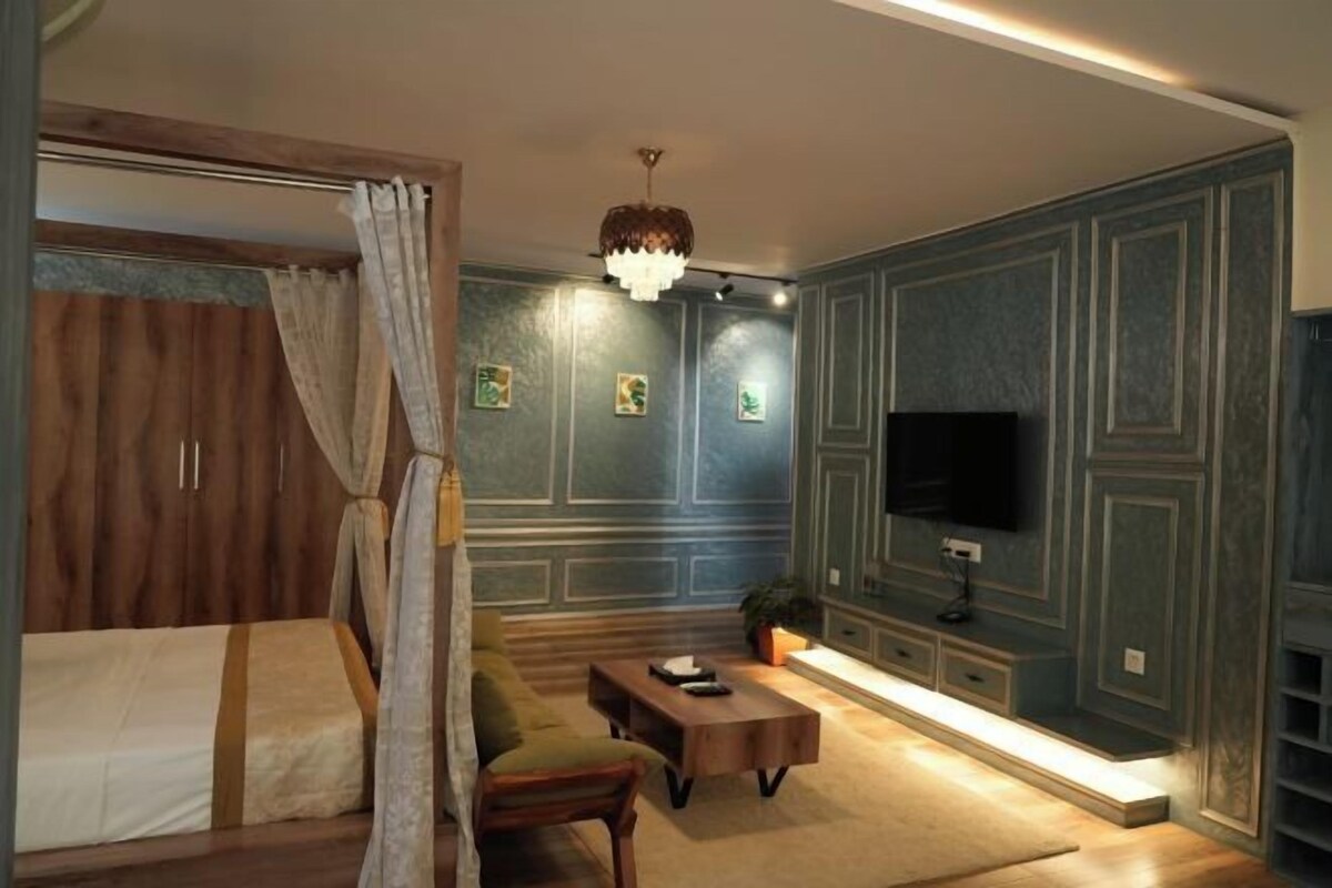Un dormitorio con una cama, televisor, sofá, mesa de centro y mueble para la televisión.