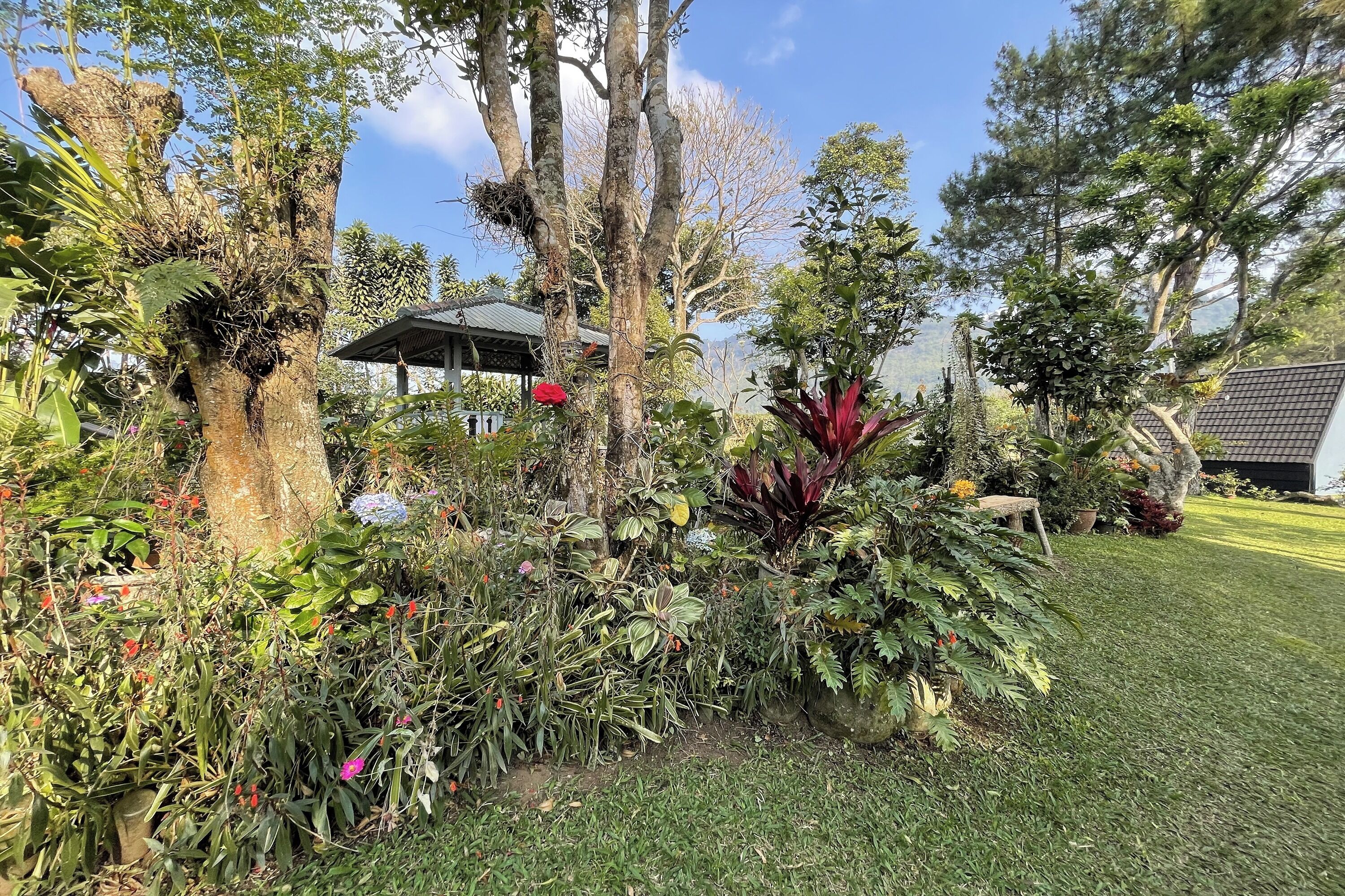 Rom – standard | Utsikt fra rommet