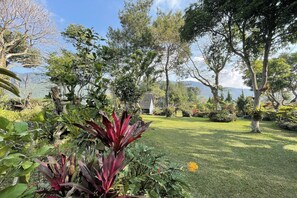 Kamar Standar | Pemandangan dari kamar