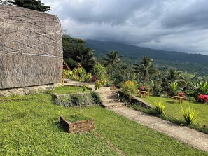 航空写真