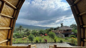 A view from a bamboo-framed window overlooking a lush garden with a thatched-roof building.