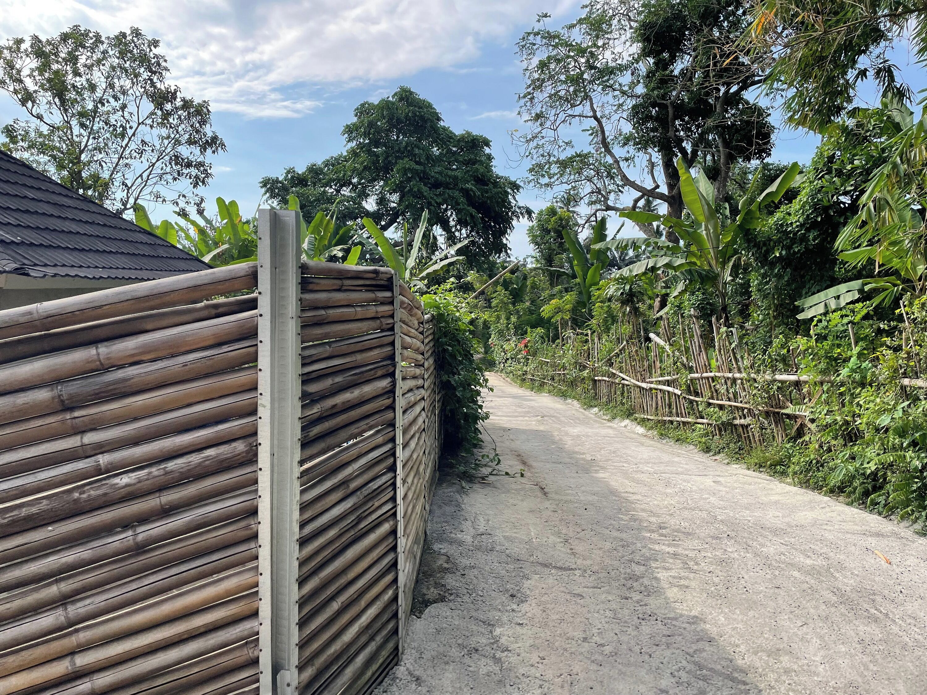 Una carretera rural bordeada por una valla de bambú y vegetación exuberante.