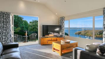 Smart TV y chimenea