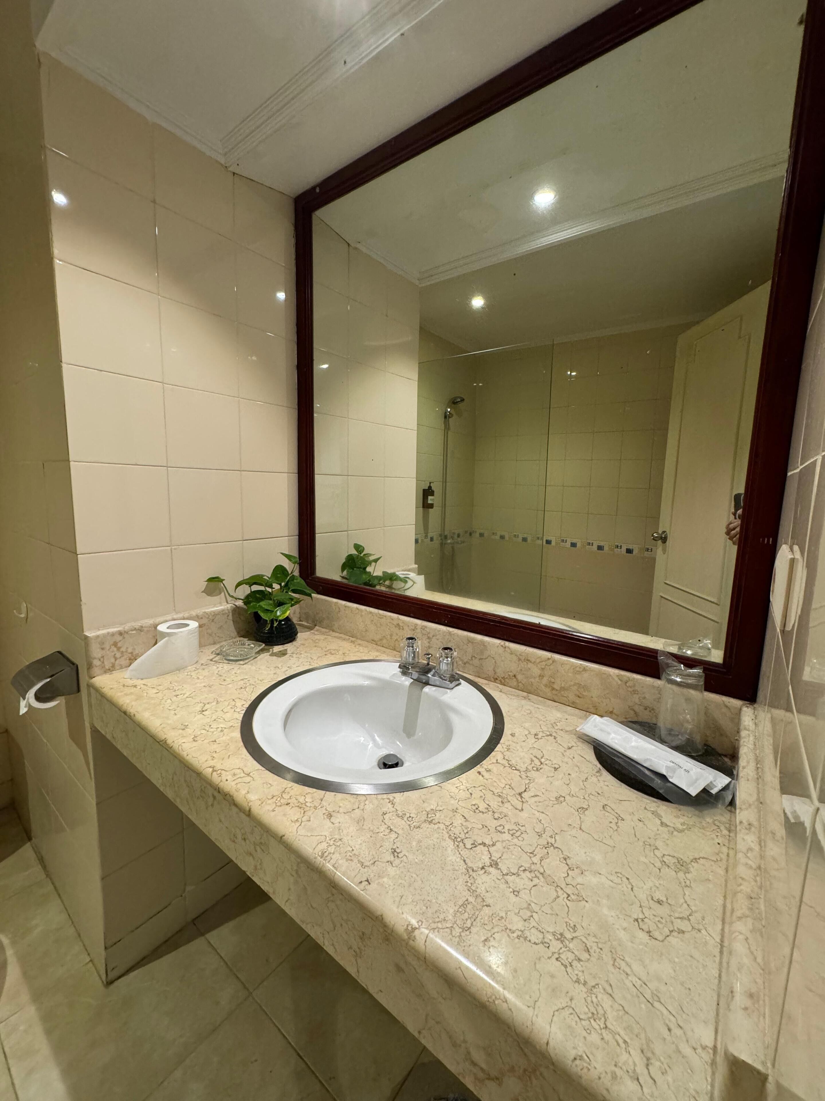 A bathroom with a marble sink, a mirror, a shower, and a toilet.