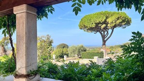 A stone column and a large tree in a garden with a view of the sea.