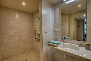 Chuveiro, secador de cabelo, toalhas de banho, sabonete
