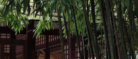 Terrain de lâhĂ©bergement