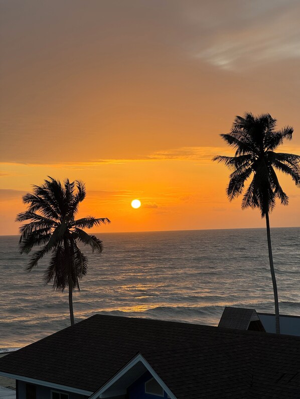 A sunset view with two palm trees and a house with a sloped roof. - Reboot Retreat (Tha Sala)