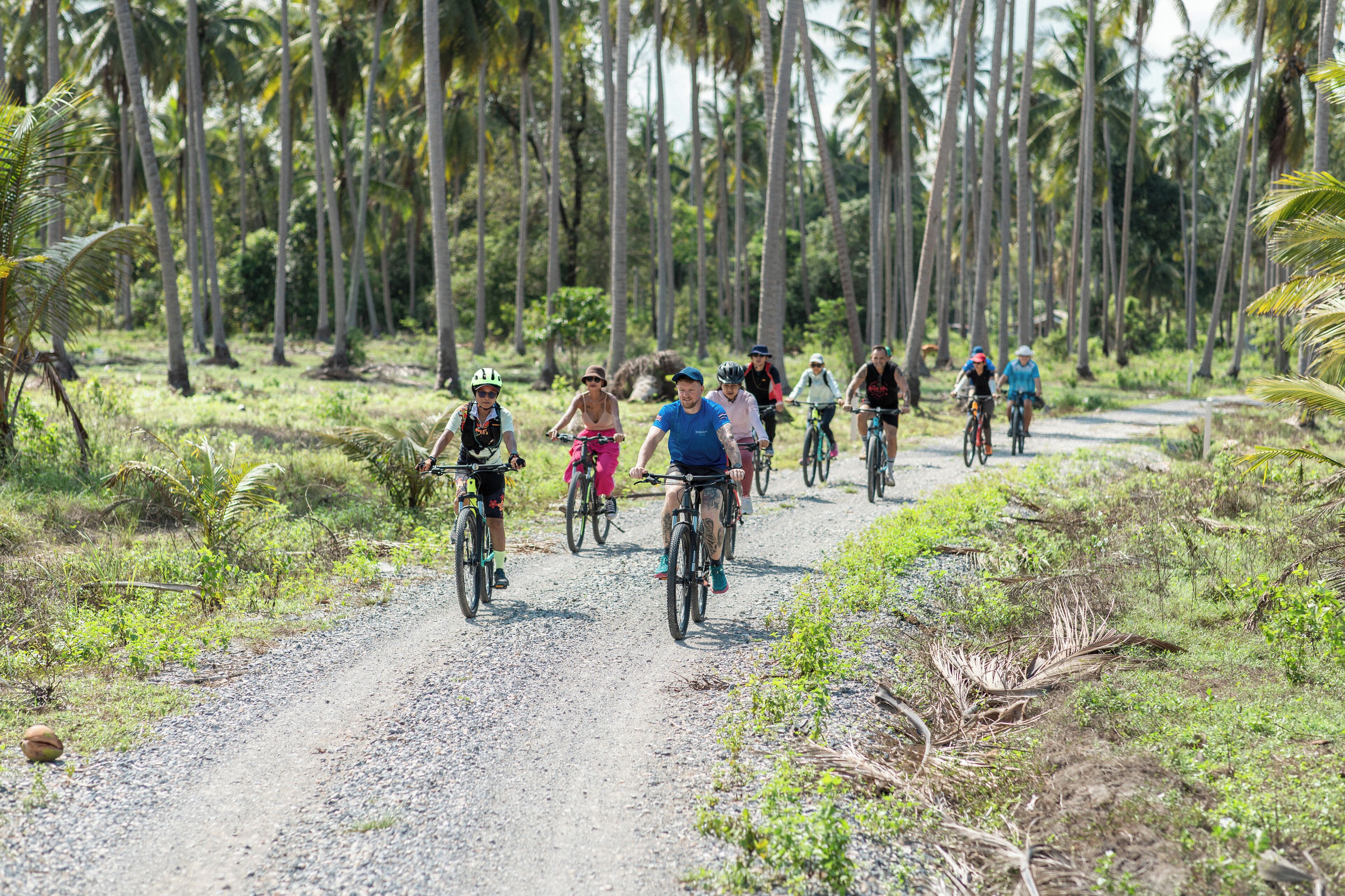 Een groep fietsers op een grindpad, omgeven door palmbomen.