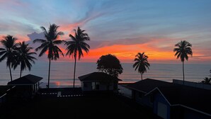 Un paysage côtier avec des palmiers et un coucher de soleil.