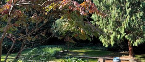 Jardines del alojamiento