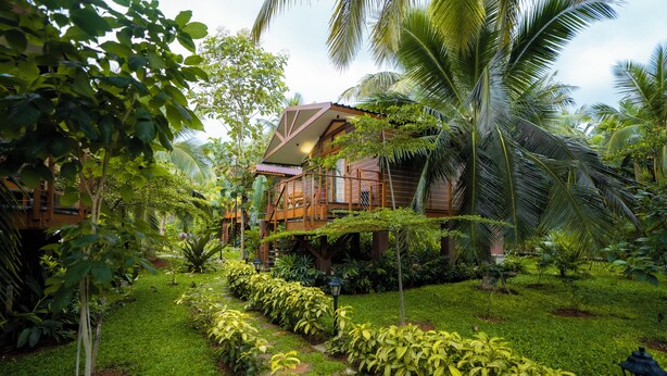 Una casa de madera rodeada de abundante follaje y palmeras.