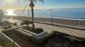 Ein Strand mit einer Palme, einem gepflasterten Weg und Blick auf den Ozean.