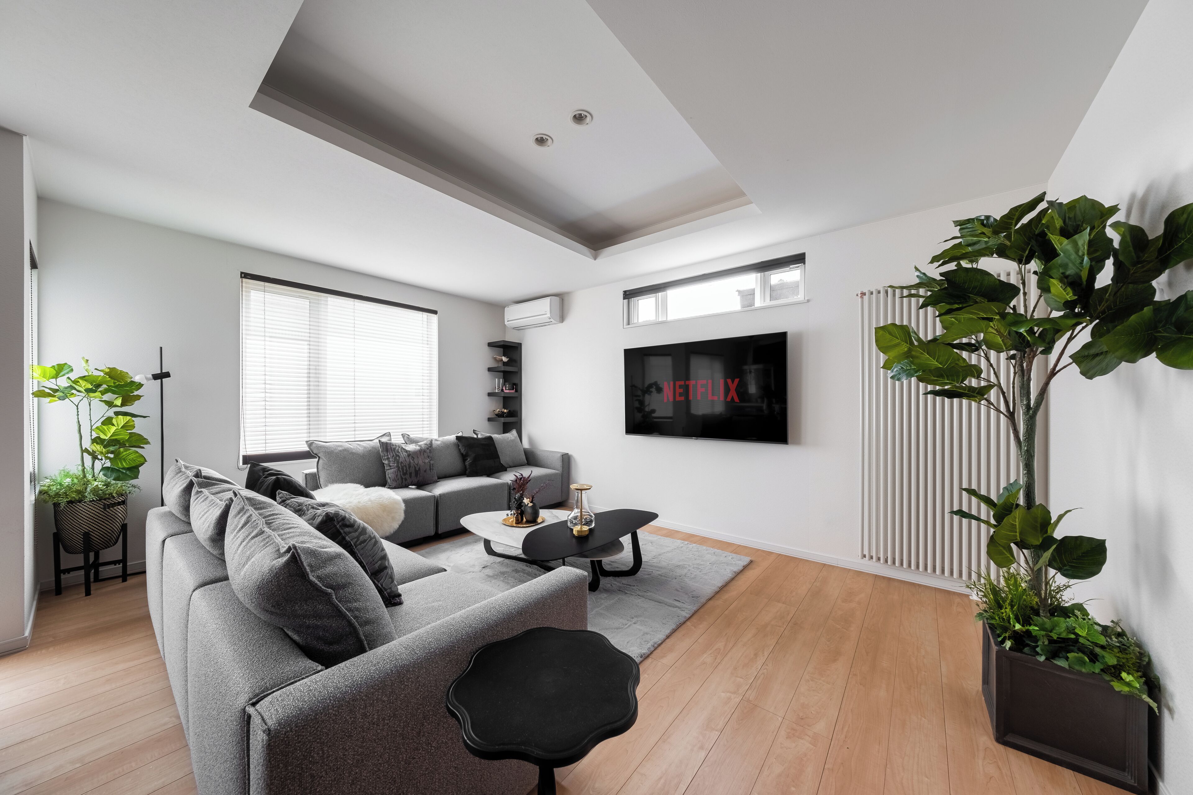 A modern living room with a grey sofa, black coffee table, and a large plant.