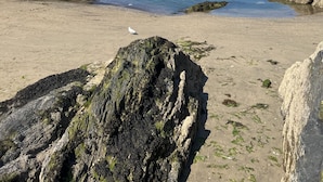 Un pueblo costero con edificios de piedra, una playa de arena y afloramientos rocosos.
