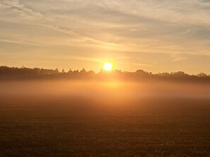 Un atardecer sobre un campo con siluetas de árboles en la distancia.