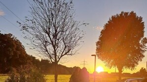 Auringonlasku maaseutumaisemassa, jossa on puita ja aita.