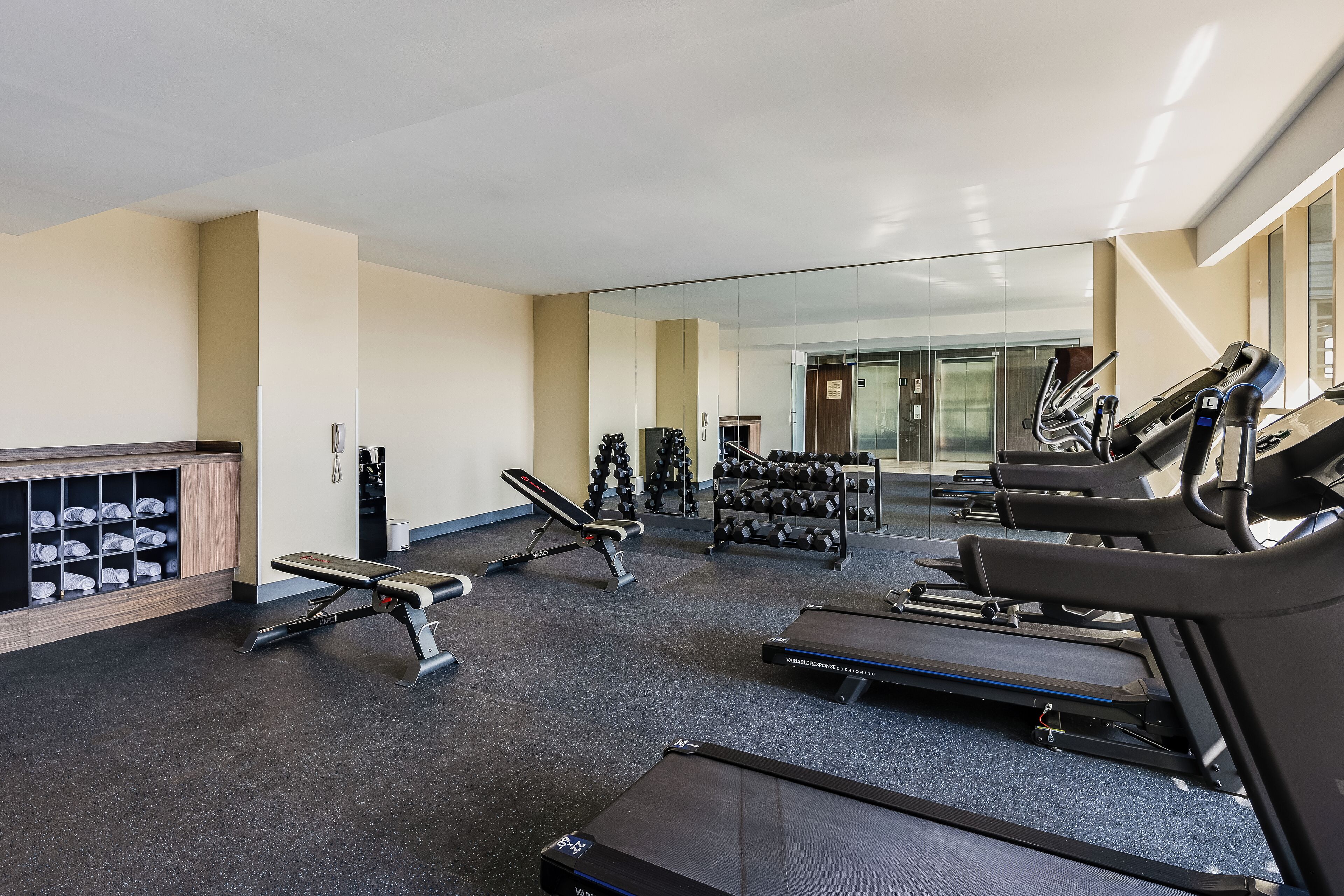 Un gimnasio con cintas de correr, bancos de pesas y mancuernas.