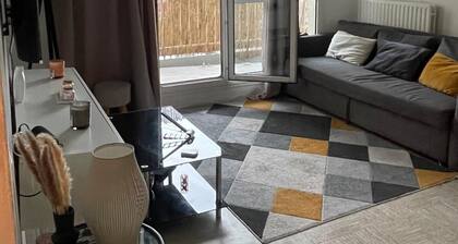 SG HOME APPARTEMENT EQUIPEE CENTRE VILLE