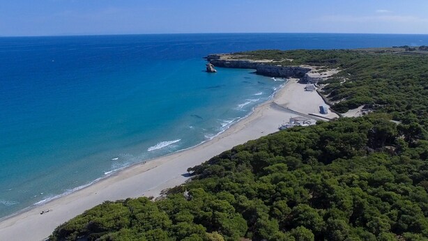 An aerial view of a coastal area with a beach, rocky outcrops, and dense greenery. - Villa Oasi al Mare Near the sea With Pool (Melendugno)