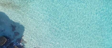 A clear view of a beach with shallow water and rocks.
