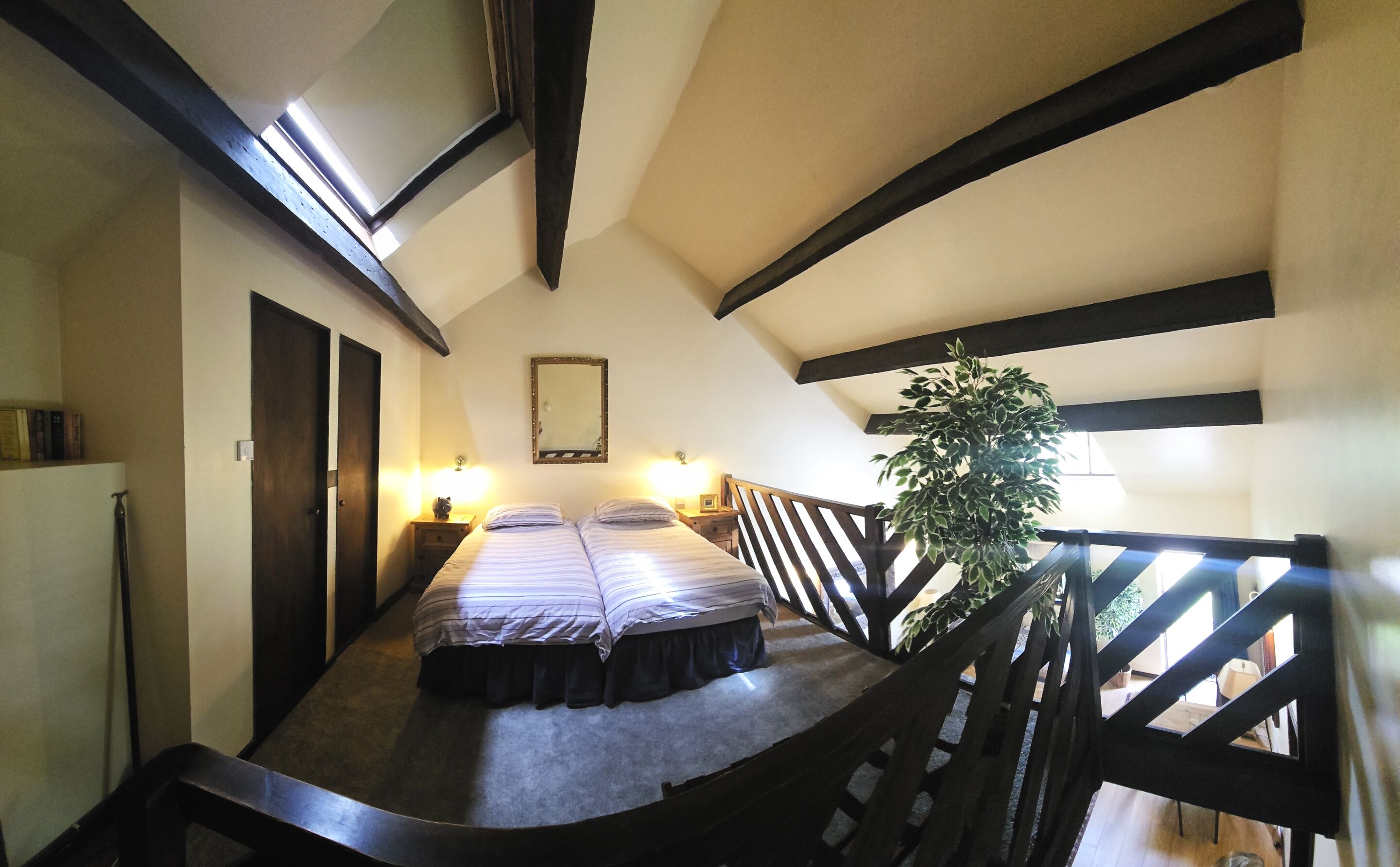 Ein Zimmer mit einem Bett, einem Nachttisch, einem Spiegel und einer Zimmerpflanze.