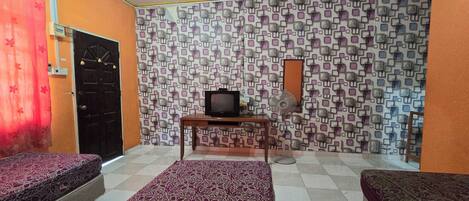 A room with two beds, a television, and a patterned wall.