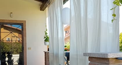 BIBI HOUSE surrounded by greenery