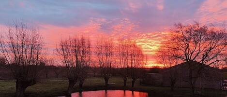 A sunset over a calm body of water with bare trees and a small building in the background.