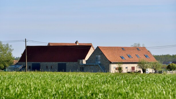 A large barn with a red roof and a smaller adjacent building with a sloped roof. - Knus Landelijk Verblijf! (Alveringem)