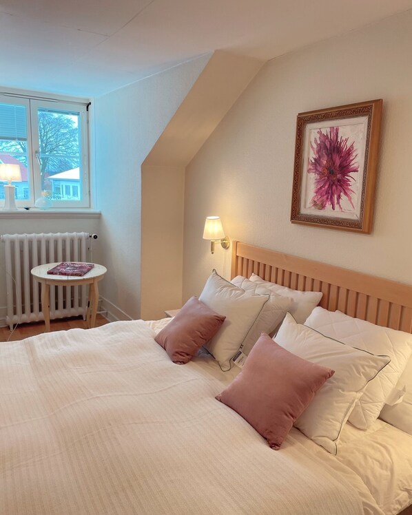 Basic Double Room, Courtyard View | Laptop workspace, free WiFi