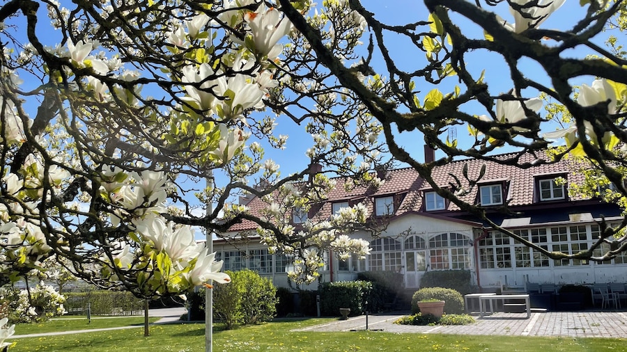 Anita på Gästis i Anderslöv